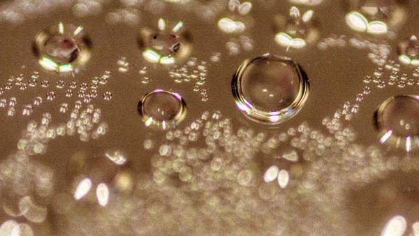 Article photo for Can Solar Panels Be Used For Heating Water